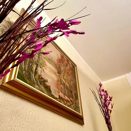 아파트 A2 - 80 M2 - Center Ni